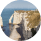 City thumbnail