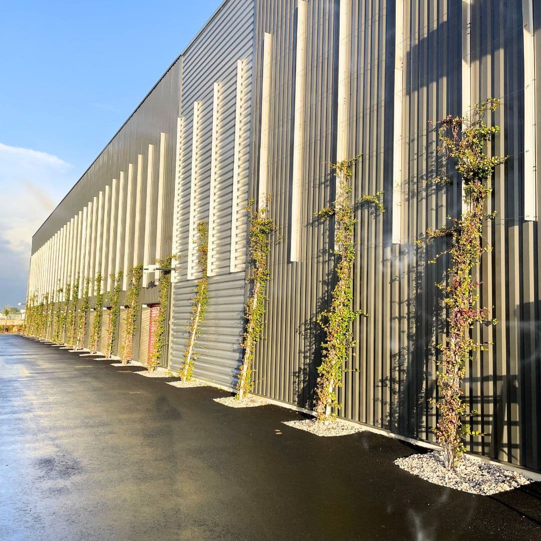Mur de bardage gris orné de plantes grimpantes le long de l'allée, HOMEBOX Libourne, 5 Rue Jean Baptiste Souffrain à Libourne
